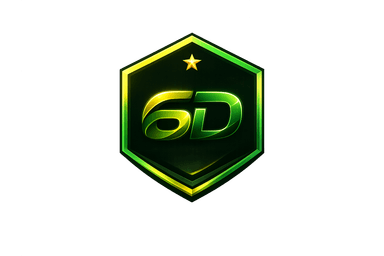 6D